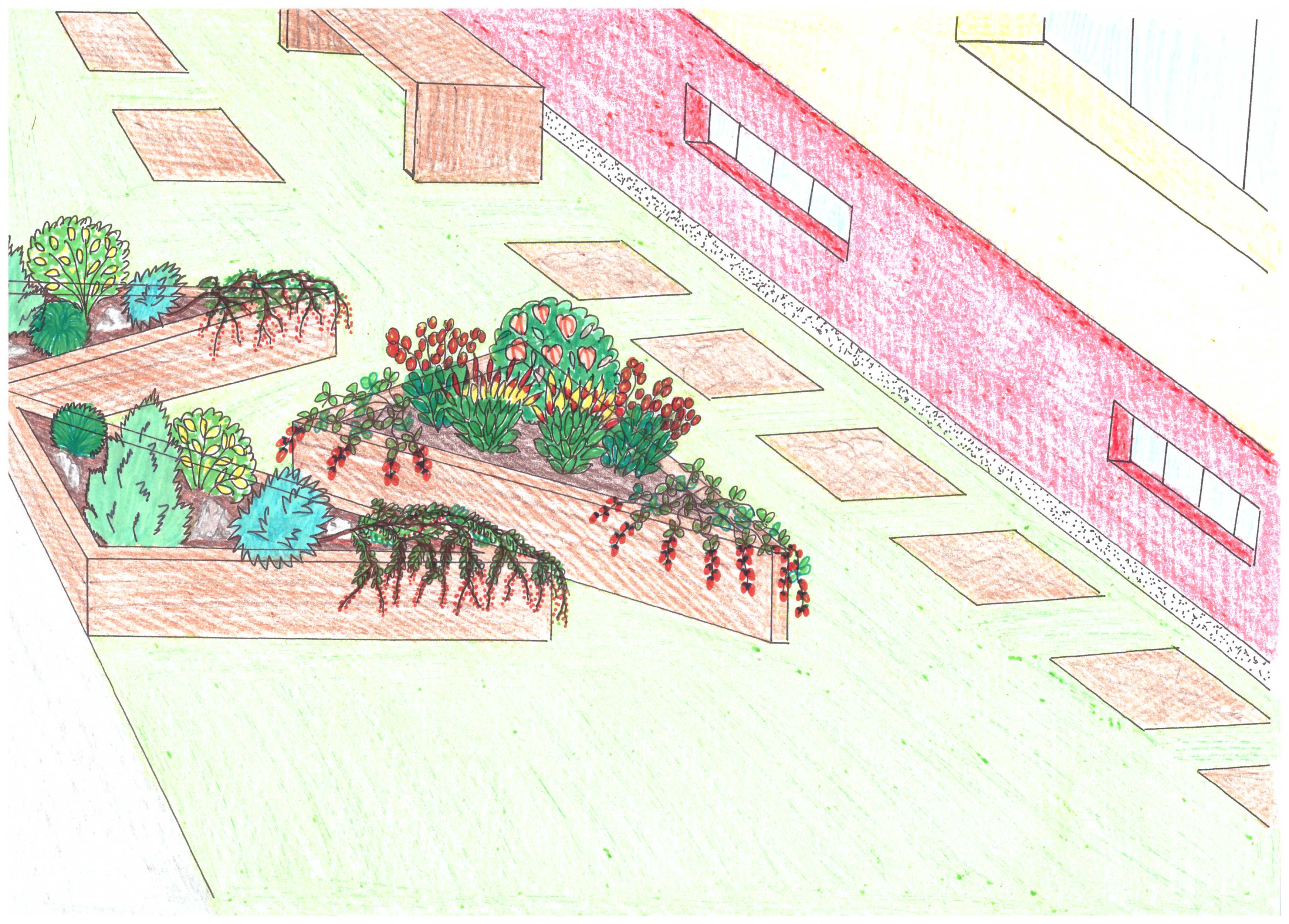 project_image