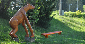 project_image